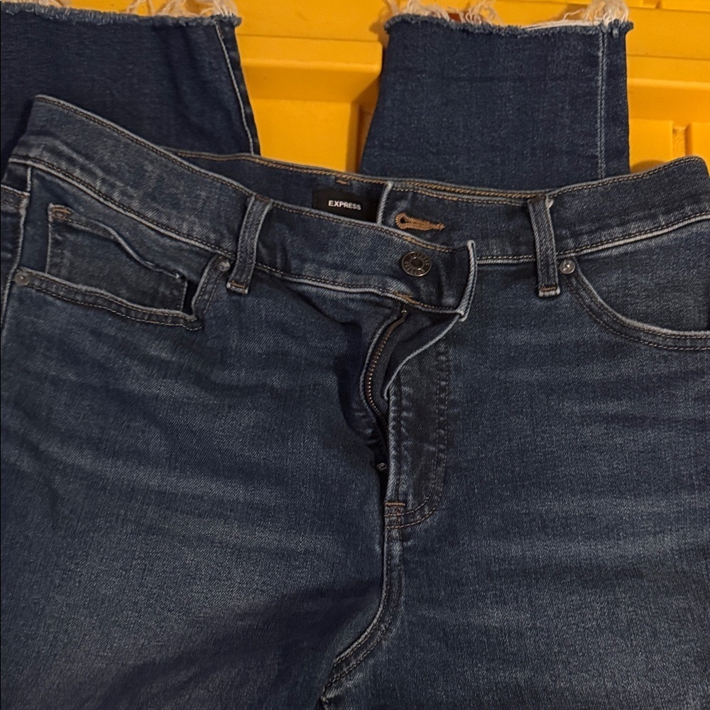 Express Indigo Denim Jeans